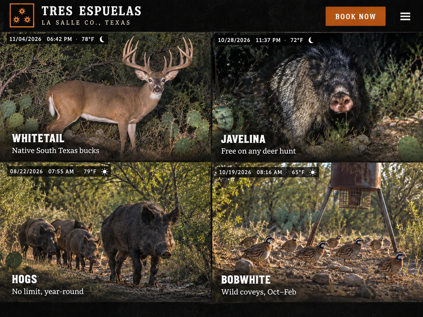 Fictional wildlife camera gallery for Rancho Tres Espuelas