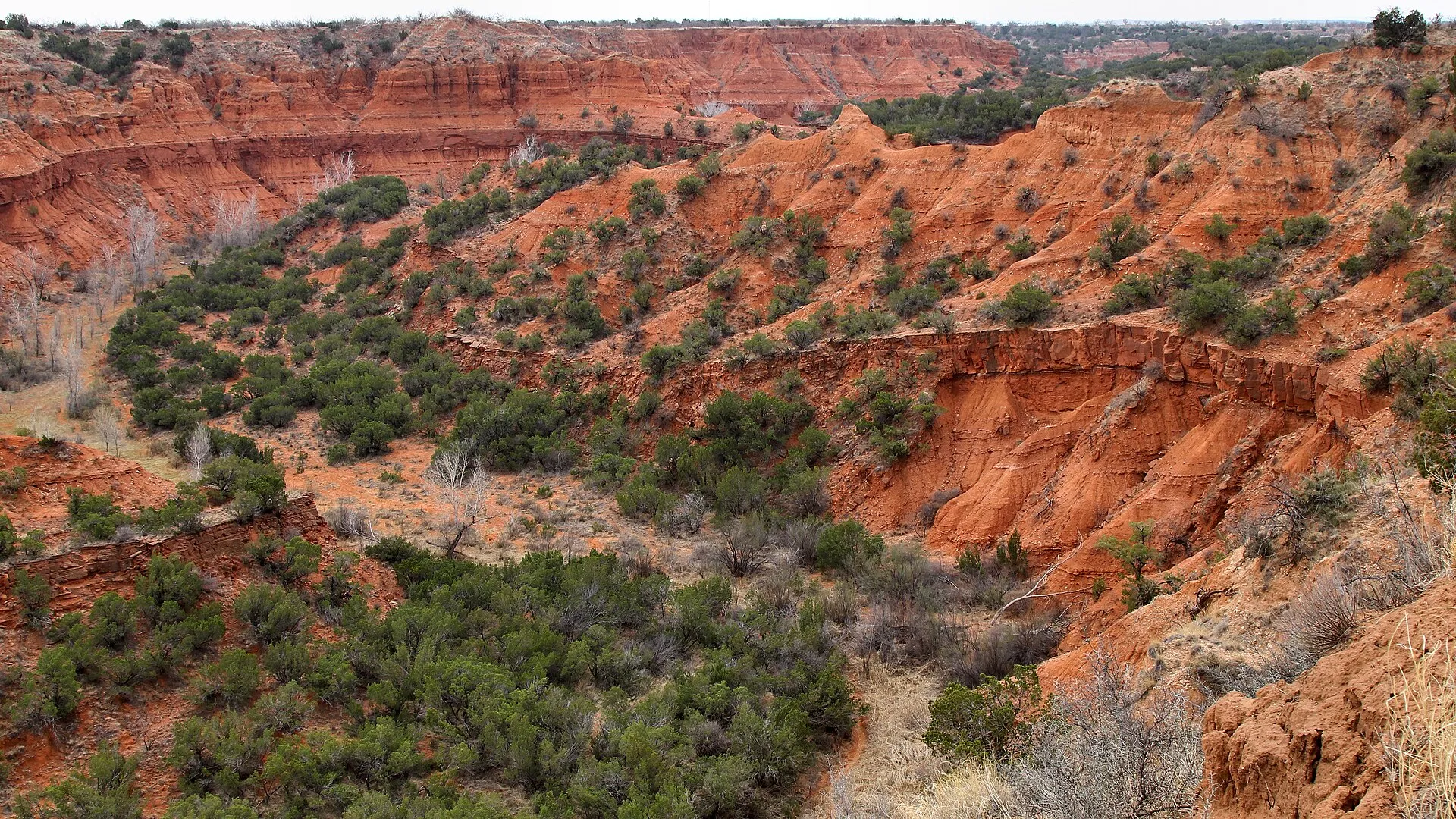 Red-rock canyon walls and juniper-covered shale slopes below the Caprock escarpment