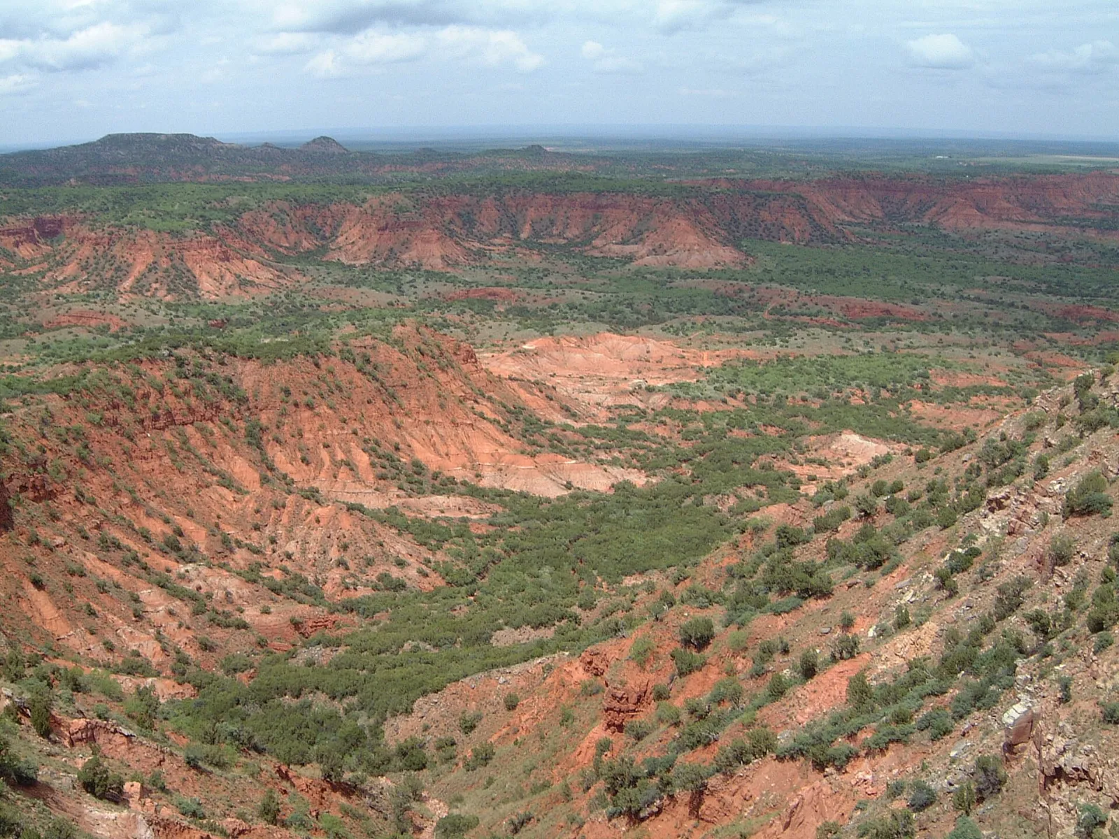 Looking down a wide side canyon of red shale breaks dotted with juniper and mesquite