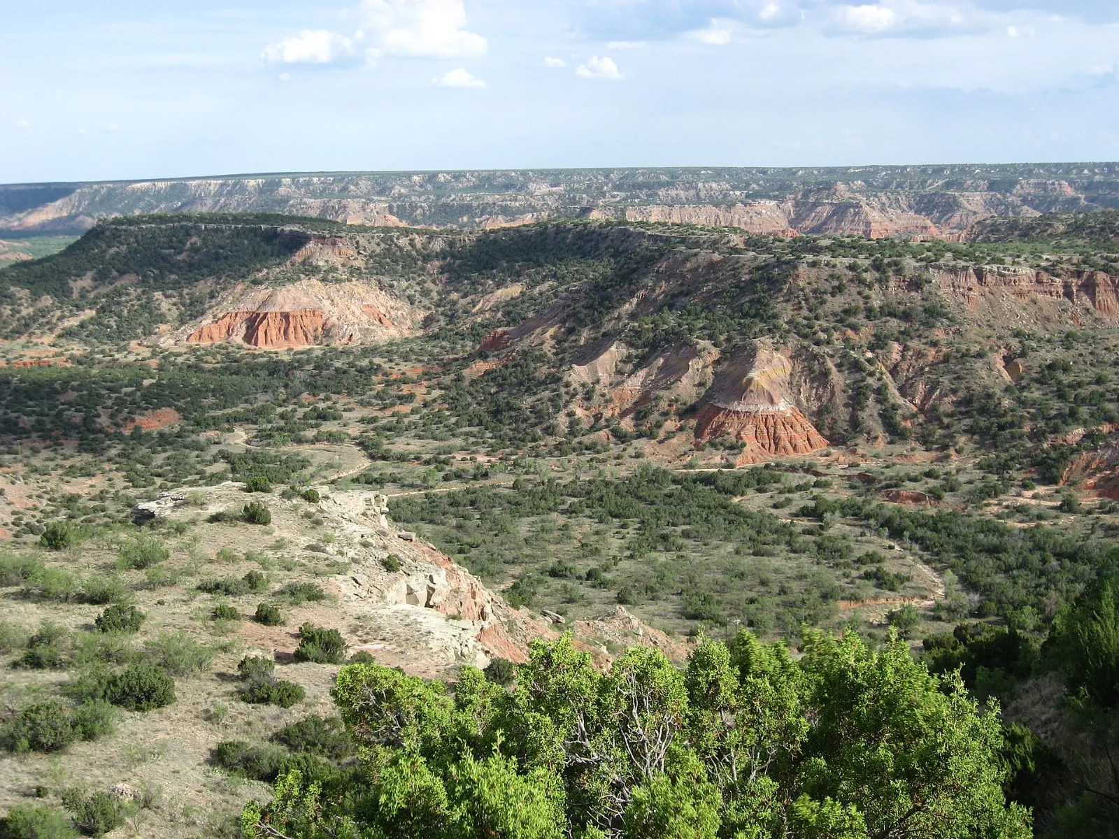 Wide view across layered red canyon country with flat-topped mesas on the horizon