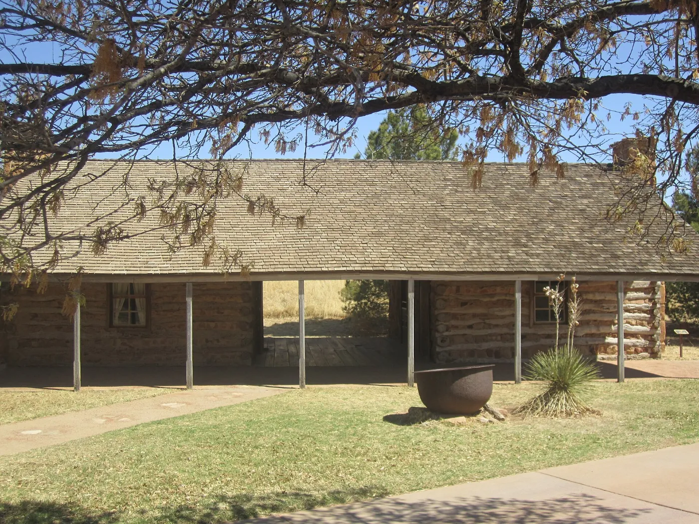 Log dogtrot cabin with an open breezeway and deep porch under an oak