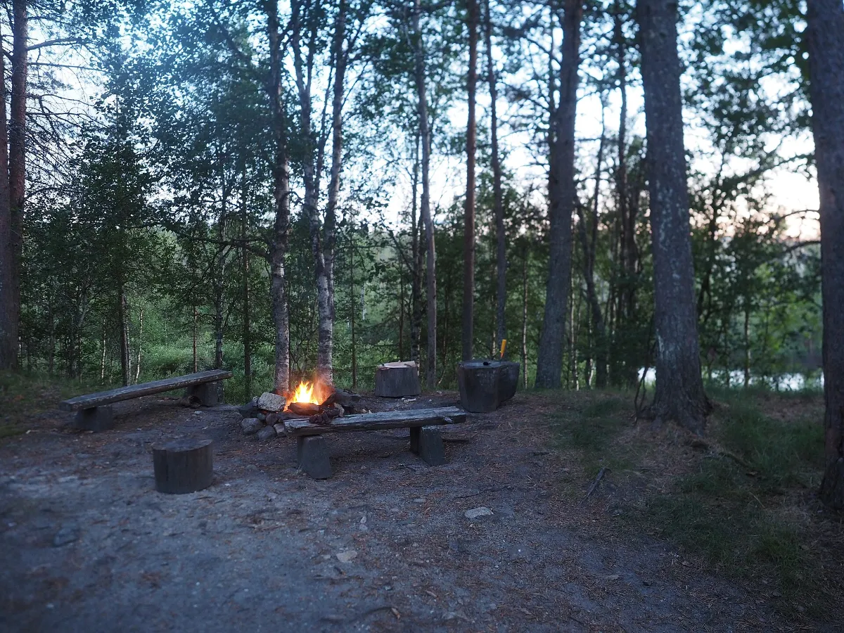Small campfire ringed by log benches at dusk