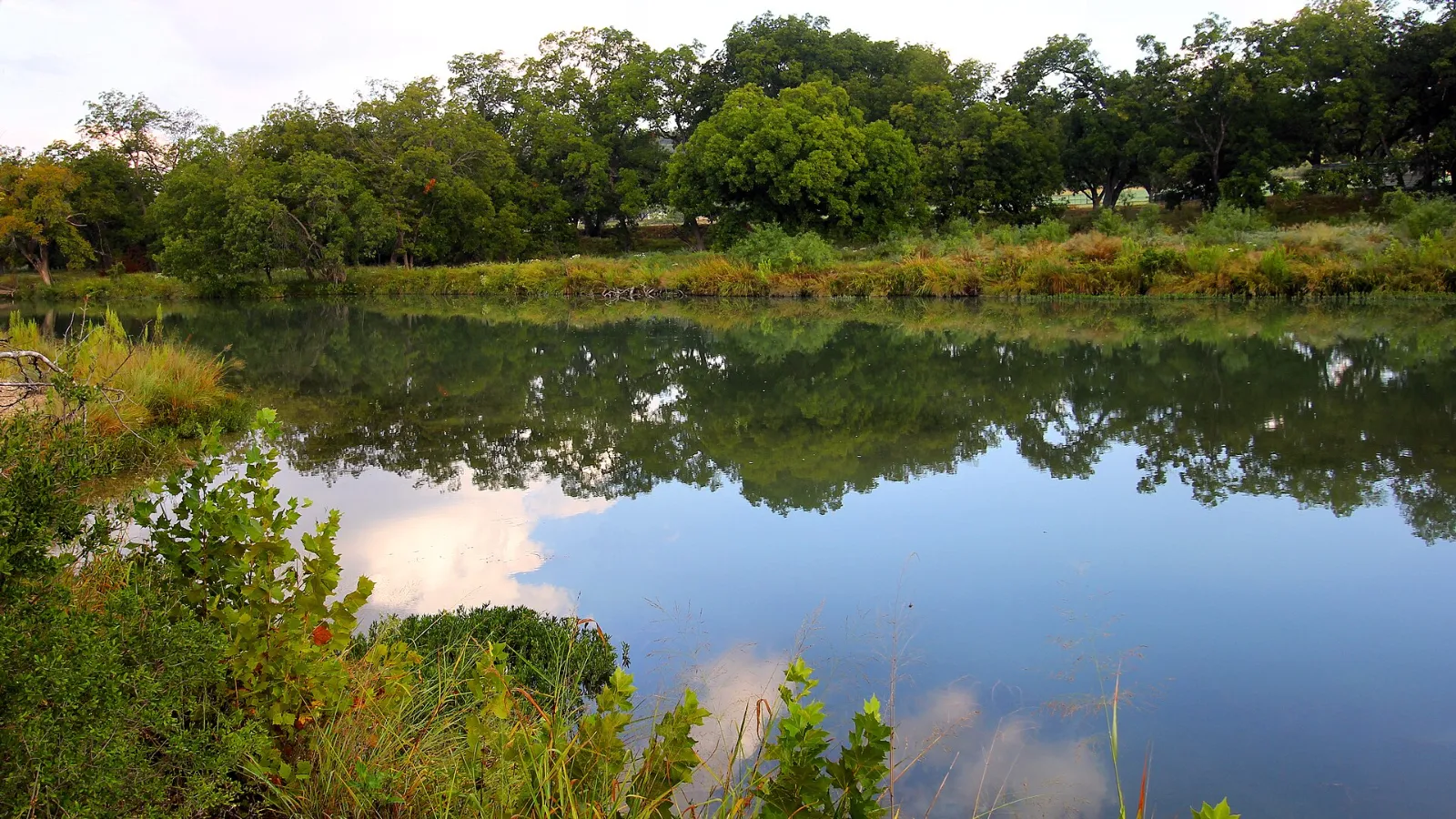 Calm stretch of the Llano River reflecting live oaks and clouds